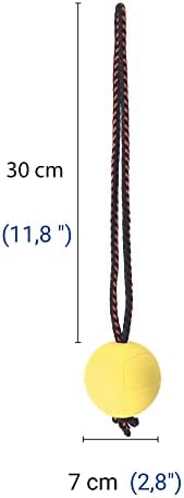 Dingo Dog Ball with Short Handle, Natural Rubber