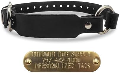 Leather D & Center Ring 3/4"x17" ID Dog Collar w Custom Name Tag, Black