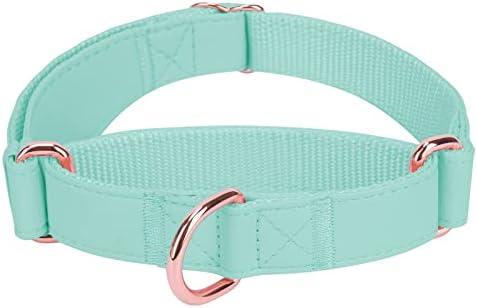 Soft Leather Martingale Dog Collar - Adjustable Rose Gold Limited Slip Collars [Easy to Clean], Stylish Durable Heavy Duty Nylon No Pull Training Collar for Small Medium Large Dogs XS Mint Green