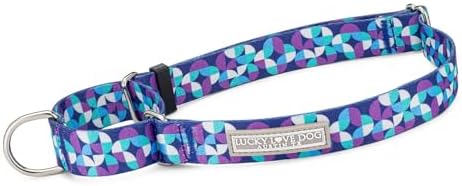 Lucky Love Dog Martingale Collar for Small Dogs No Slip – Jasper, Small