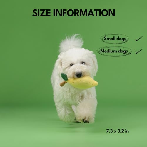 CHEWFFON Squeaky Plush Dog Toy, Lemon
