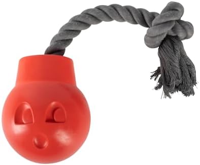 Fringe Studio You DA Bomb Rubber Dog Toy, Pet Shop Collection (518044)