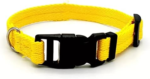 Nylon Webbing Dog Collar Fashion Buckle Pet CollarAccessory