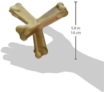 N-Bone Nbone 115097 Quado in Pumpkin, Large (575174) (Pack of 6)
