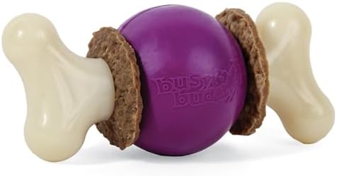 PetSafe Busy Buddy Bouncy Bone Treat Holding Dog Chew Toy, Medium