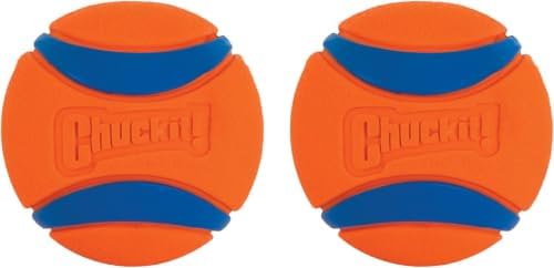 Chuckit! Ultra Ball Dog Toy, Balls for Dogs to Fetch, Durable Rubber, Small 2-inch (Pack of 24)