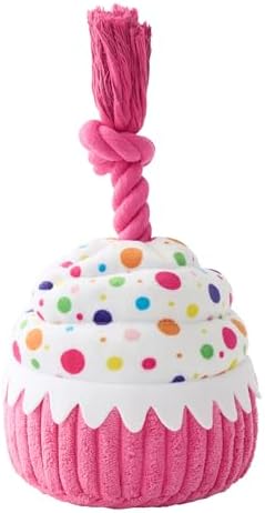 LE SURE Cute Squeaky Dog Toy for Gentle Chewers,Dog Birthday Cake Toy