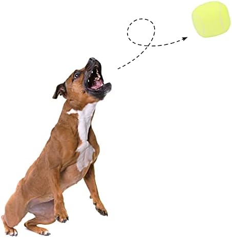Interactive Dog Balls, 2 Pack Plush Squeaky Dog Toys Balls for Dogs, Tennis Ball Rugby Dog Toy Ball Indoor Outdoor Sports Stuffed Puppy Toy for Small Medium Dog(Tennis+Rugby)