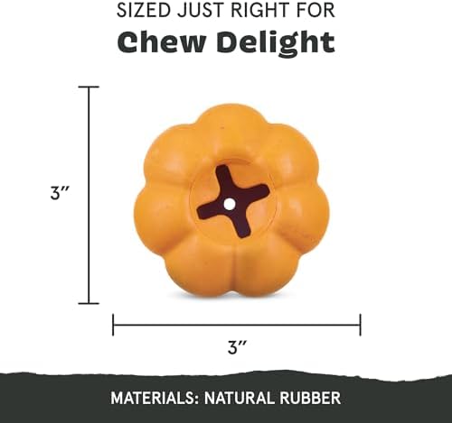 BarkBox Squash Dog Toy