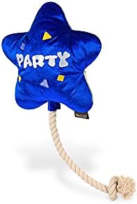 P.L.A.Y. Cute Plush Dog Toy - Birthday Party Celebration Themed Durable Squeaker Chew Toy, for Puppies & Small, Medium, Large Dog - Machine Washable, Recycled Material (Best Day Ever Balloon, Medium)