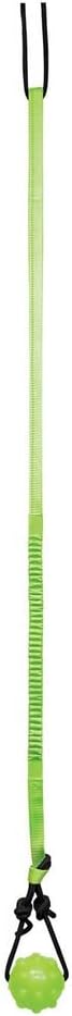 Jolly Pets Tree Tugger Interactive Bungee Dog Toy, Green | Bungee toy that tugs back for solo play - attaches to your dog's favourite Jolly Pets toys