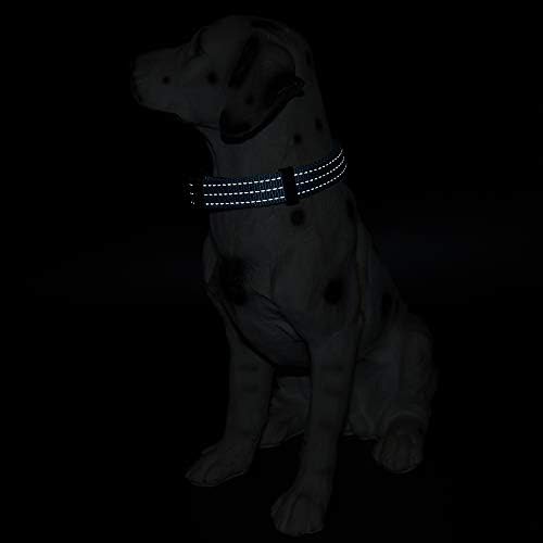 Mile High Life Reflective Dog Collar, Adjustable Lightweight Quick Release