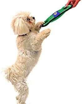 NFL Football Field DOG TOY with Squeaker. - MINNESOTA VIKINGS - For Tug, Toss, and Fetch. - Tough & Durable PET TOY