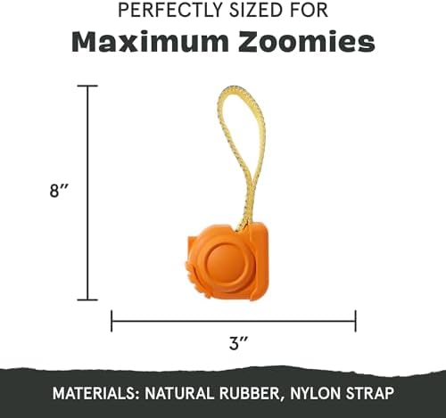 BarkBox Tug Measure Durable Dog Toy - Large