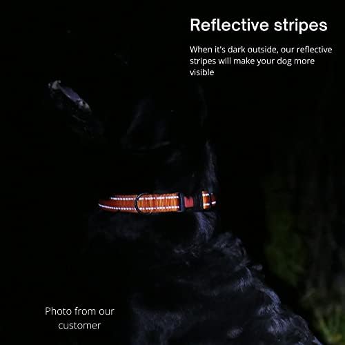 Reflective Dog Collar, Quick-Release Buckle (Red, 10-13 Inch)