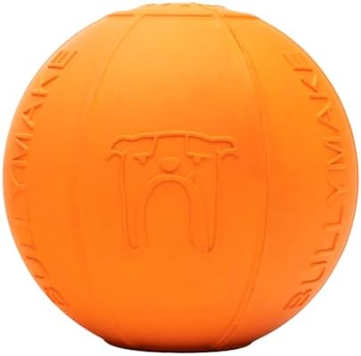 BULLYMAKE Toss N Treat Beach Ball Dog Toy, Treat Dispensing, Rubber Dog Toy