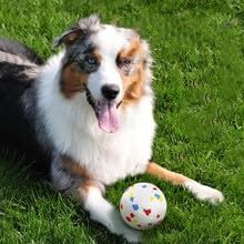 Dog Balls for Dogs:6 Pack 2.3 Inch Balls Compatible with Most Automatic Ball Launchers, for Puppy Dogs Medium Dogs Playing Exercise and Practice