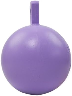 Jolly Pets Tug-n-Toss Heavy Duty Dog Toy Ball with Handle, 10 Inches/X-Large, Light Purple