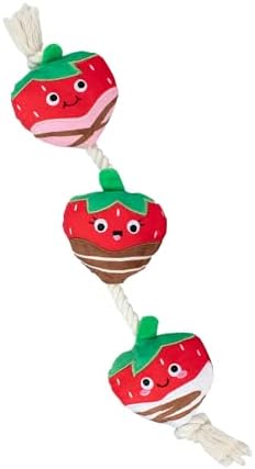 Fringe Studio Plush Dog Toy with Rope, Covered with Love, Petshop Collection (314495)