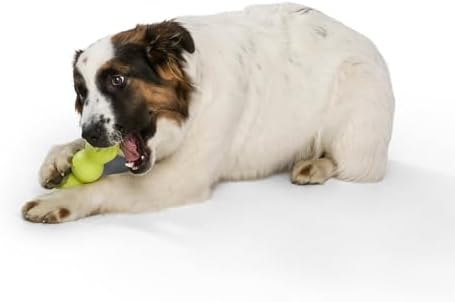 WEST PAW Zogoflex Rumpus Dog Chew Toy – Floatable Toy for Dogs, Aggressive Chewers – Puppy Chewing Toys for Catch, Fetch – Recyclable, Dishwasher-Safe, Medium 6.25", Granny Smith