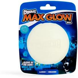 Chuckit! Max Glowin the Dark Bouncy Ball for Dogs, Large 3in, 1 Pack
