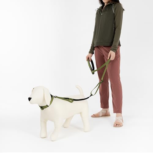 OllyDog Flagstaff Collar, Adjustable Soft Puppy Collars with Quick Release Buckle, Ideal Dog Collar for Everyday Use and Adventures (Small, Cactus Woodgrain)