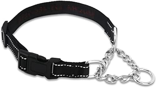 Personalized Martingale Dog Collar-Reflective Martingale Collars with Buckle, Custom Training Martingale Dog Collars Embroidered with Name and Phone Number for Small Medium Large Dogs