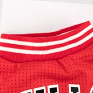 Dog Clothes Basketball Mesh Breathable T-Shirt,Pet Clothes Puppy Sportswear Spring/Summer Fashion Dog Shirt. (Red, Small)