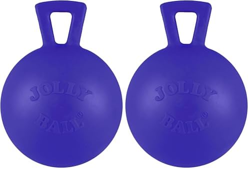 Jolly Pets Tug-n-Toss Heavy Duty Dog Toy Ball with Handle, 4 Inches/Petite, Blue (404 BL),Small Breeds (Pack of 2)