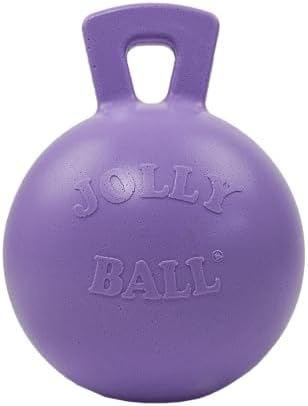 Jolly Pets Tug-n-Toss Heavy Duty Dog Toy Ball with Handle, 4.5 Inches/Small, Light Purple