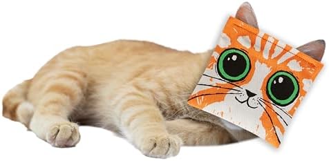 Blue Q Catnip - Cute Cat Toys for Biting w/Funny Graphics - First Bong Rip