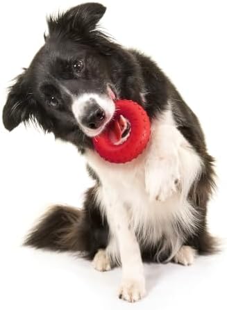 Playology Dual Layer Ring Dog Toy for Aggressive Chewers, Beef Scent
