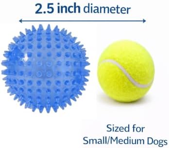 Squeaky Spiky Dog Balls for Teeth Cleaning & Gum Massage 2.5 Inch Small Medium Dogs Blue | Spiny TPR Rubber Chew Toys for Fetch Play Interactive Bouncy Dental Balls BPA Free Nontoxic Floats - 3 Pack