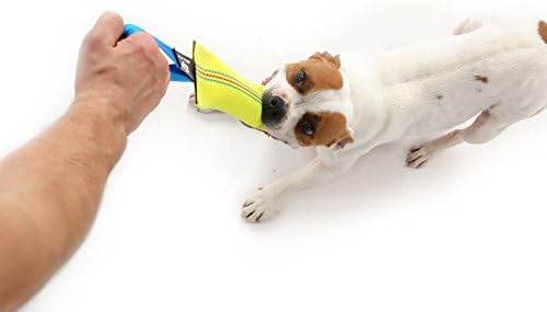 Dog Bite Tug Toy 10 inches - Durable, Interactive Toys for Medium to Large Dogs - Perfect for Tug of War, Fetch & Puppy Training - Safe Fire Hose Dog Tug with Strong Handle - Tough Floating Pull Toy