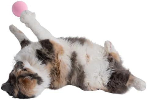 Rawry Foam Ball Cat Toy for Indoor Cats & Kittens,12 Pack, Pink