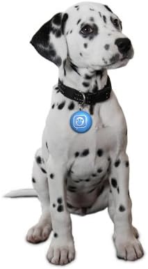 Mattel Puppy Tweets Blue