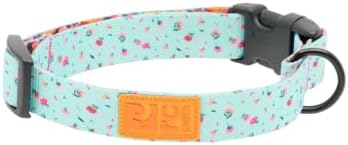RC Pets Eco Clip Collar | Adjustable, Durable, Earth-Friendly | Large, 1-Inch, Dainty Mint