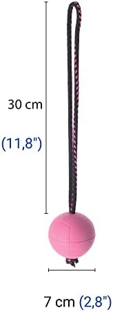 Dingo Dog Ball with Short Handle, Natural Rubber (Pink)