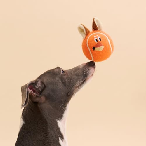ZEZE Zorro the Fox Squeaky Dog Toy, Cute Plush Tennis Ball Dog Toy with Hidden Squeaker in Fox Ears, Soft Fetch & Chew Toy for Small to Medium Dogs & Puppies, Gift-Ready Designer Pet Toy