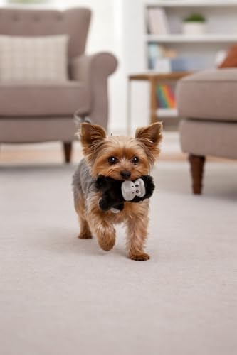 Gorilla Dog Toy w/ Squeaker | Small Plush Gorillas Dogs Toys | 6 Inch Stuffed Squeaky Gorilla Toy for Pets | Ape Dogs Toys | Realistic Squeaky Apes & Gorillas | Small/Medium Breed | Black/Gray | 6"