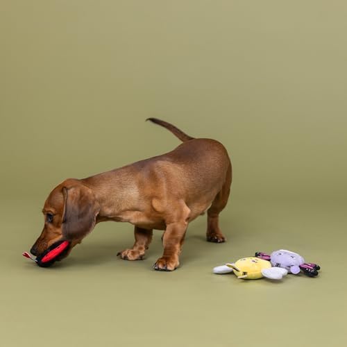 Fringe Studio Plush Dog Toy, 3 Pieces Set, WE’RE Super Fly, Pet Shop Collection (662168)