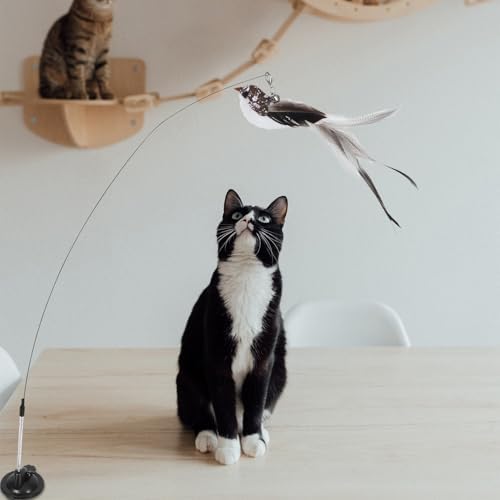 Toddmomy Cat Plumage Replacement Attachment with Long-Tailed Songbird Plumage Head Interactive Cat Wand Refill Pet Accessory and Exercise