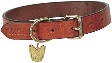 Digby & Fox Flat Leather Dog Collar (X-Large, Tan)