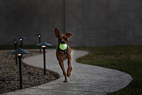 Jolly Pets JJ03 GLOW 3" Jumper Pet Toy Balls, Small