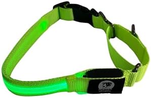 Light-Up Martingale Training Adjustable Dog Puppy Collar - REMIPET - Waterproof, LED Illuminated, USB Rechargeable, Reflective Safety, Durable, Nylon, Gift (Green, Medium)
