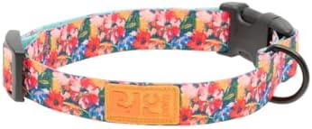 RC Pets Eco Clip Collar | Adjustable, Durable, Earth-Friendly | Medium, 1-Inch, Wildflowers