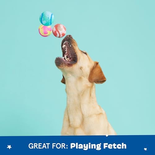 BarkBox Bath Bomb 3-in-1 Interactive Rubber Dog Toy Balls - for Dogs