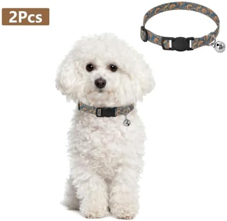 Retro Swirls Orange Blue Fluid Easy to Clean Dog Collar 2 Pack Collars for Cats