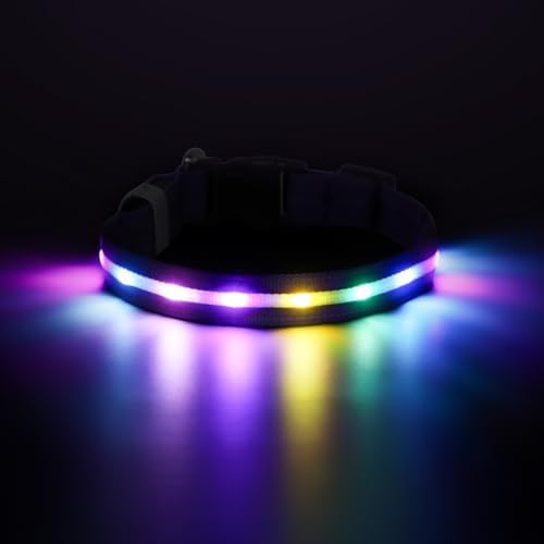 RUXAN Light Up Dog Collar,Dog Lights for Night Walking,LED Collars Waterproof,Glow Dog Collars Rechargeable,Glow in The Dark Dog Collar,Dog Collars Light for Small,Medium,Large Dogs (Small,Purple)