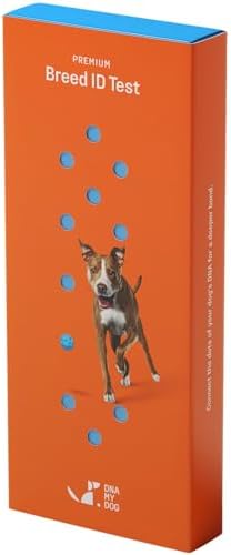 DNA My Dog Premium Dog DNA Test – Identify 350+ Breeds | Genetic Health & Trait Screening | Wolf DNA & Genetic Age | Easy At-Home Cheek Swab